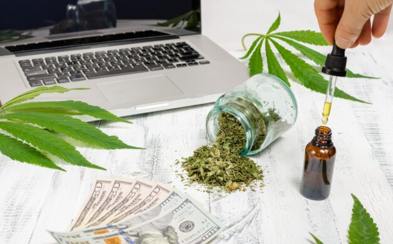 10 Challenges Cannabis Businesses Face When Securing Working Capital:
