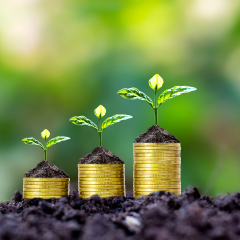 Financial Agility